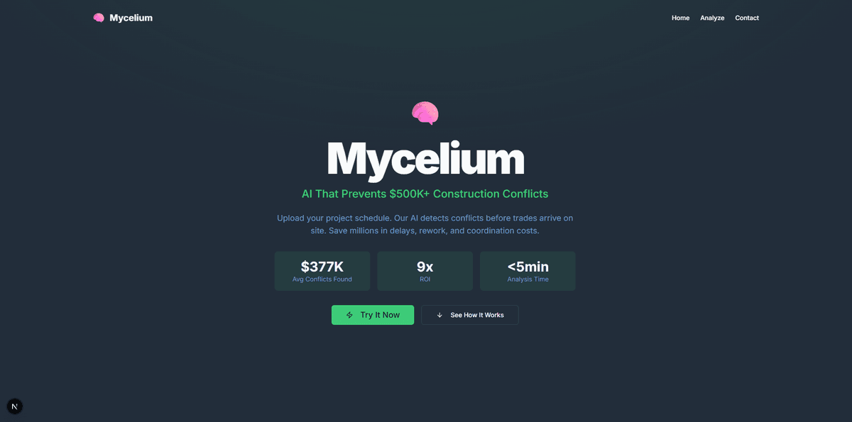 Mycelium